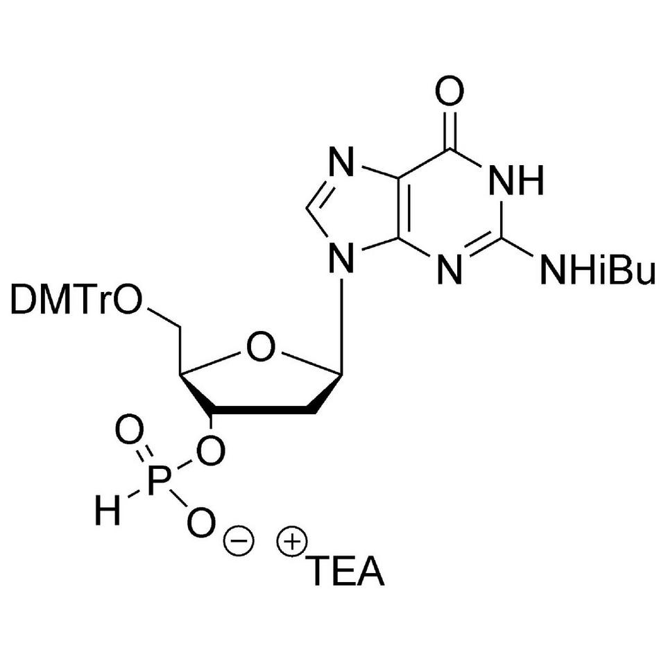 dG (iBu) H-Phosphonate TEA salt